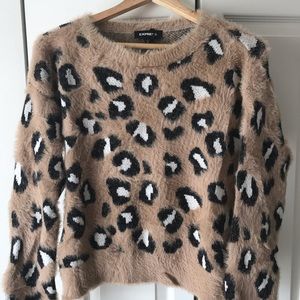 Express sweater